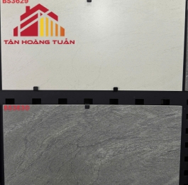 Gạch men 41 | 30x60