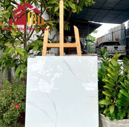 Gạch bóng kính 7 | 60x60