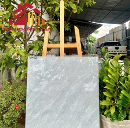 Gạch bóng kính 6 | 60x60