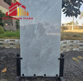 Gạch LÁT NỀN GLOSSY | 60X120cm 356 - R4