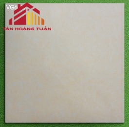 Gạch mờ 60x60 003