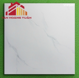 Gạch mờ 60x60 006