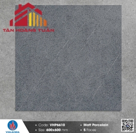 Gạch mờ 60x60 011