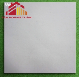 Gạch mờ 60x60 014