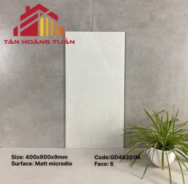 Gạch ốp tường 20 | 40x80