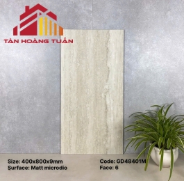 Gạch ốp tường 21 | 40x80
