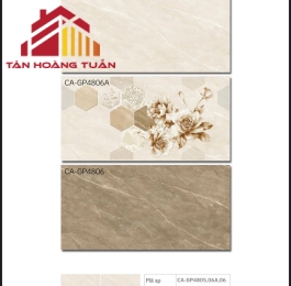 Gạch ốp tường 40 | 40x80