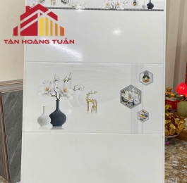 Gạch men 10 | 30x60