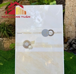 Gạch bóng kính 08 | 30x60