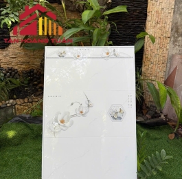 Gạch bóng kính 11 | 30x60