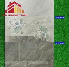 Gạch bóng kính 16 | 30x60