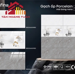 Gạch bóng kính 29 | 30x60