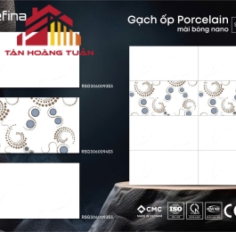 Gạch bóng kính 31 | 30x60