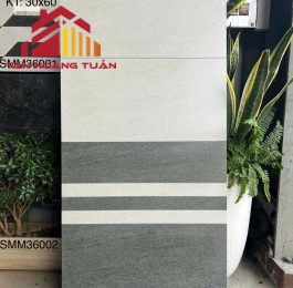 Gạch mờ 10 | 30x60