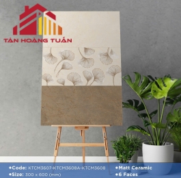 Gạch mờ 28 | 30x60