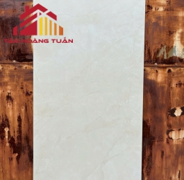 Gạch lát nền 19 | 60x1200