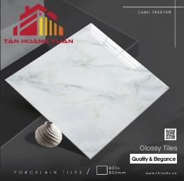 Gạch lát nền bóng kính 19 | 80x80 