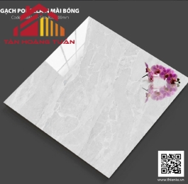 Gạch lát nền bóng kính 20 | 80x80 