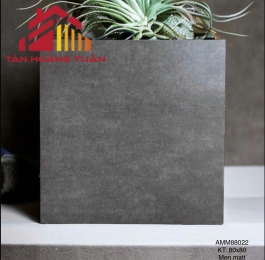 Gạch lát nền mờ 14 | 80x80 