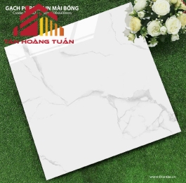 Gạch lát nền bóng kính 20 | 60x60 