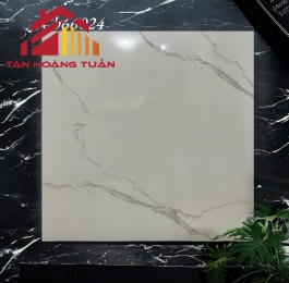 Gạch lát nền men 16 | 60x60 