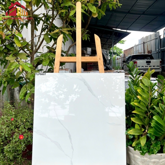 Gạch bóng kính 7 | 60x60