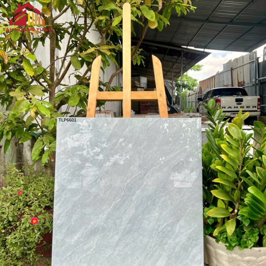 Gạch bóng kính 6 | 60x60