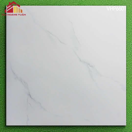 Gạch mờ 60x60 006