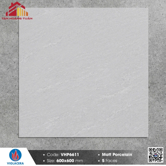 Gạch mờ 60x60 012