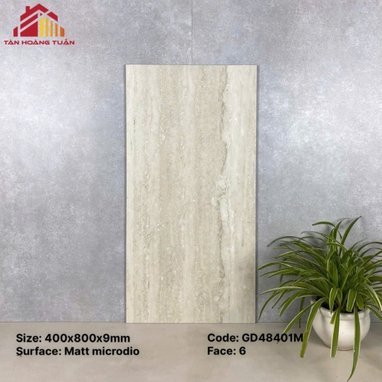 Gạch ốp tường 21 | 40x80