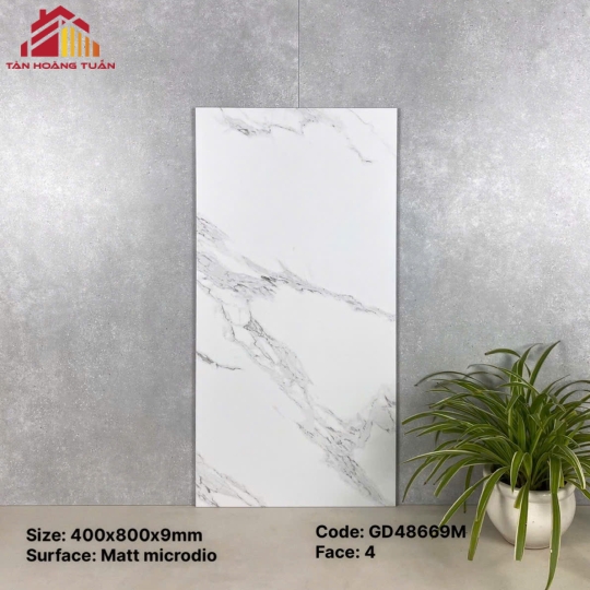 Gạch ốp tường 36 | 40x80