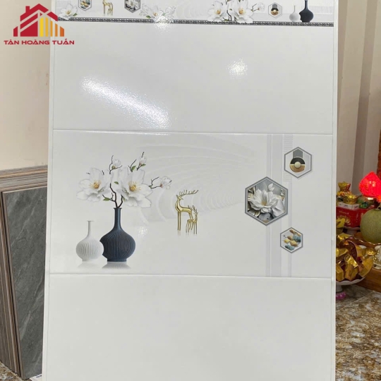 Gạch men 10 | 30x60