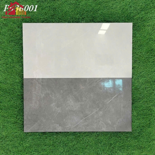 Gạch bóng kính 01 | 30x60