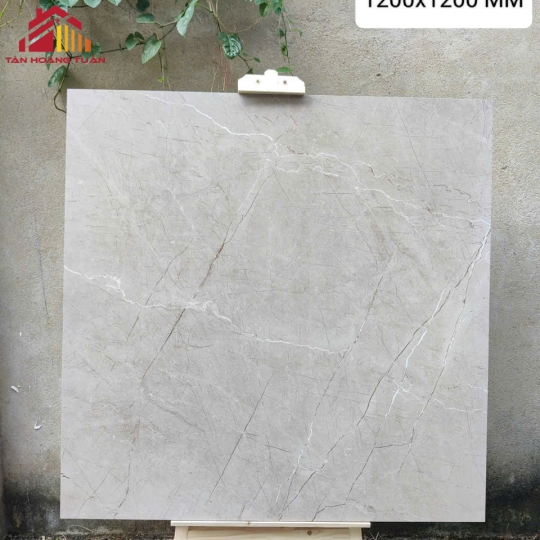 Gạch lát nền 13 | 1200x1200