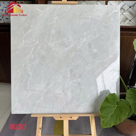 Gạch lát nền bóng kính 10 | 80x80 