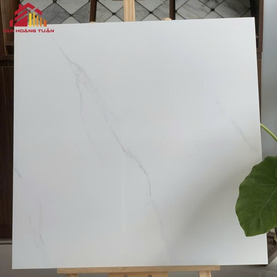 Gạch lát nền bóng kính 11 | 80x80 