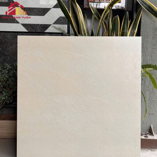 Gạch lát nền mờ 09 | 80x80 