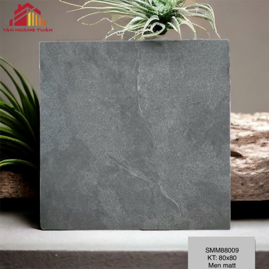 Gạch lát nền mờ 10 | 80x80 