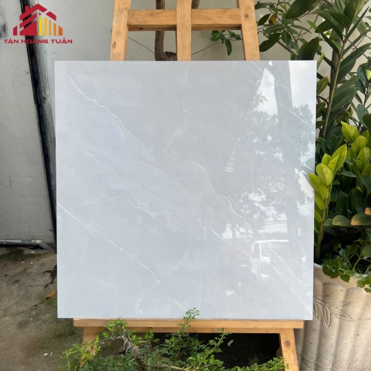 Gạch lát nền bóng kính 02 | 60x60 
