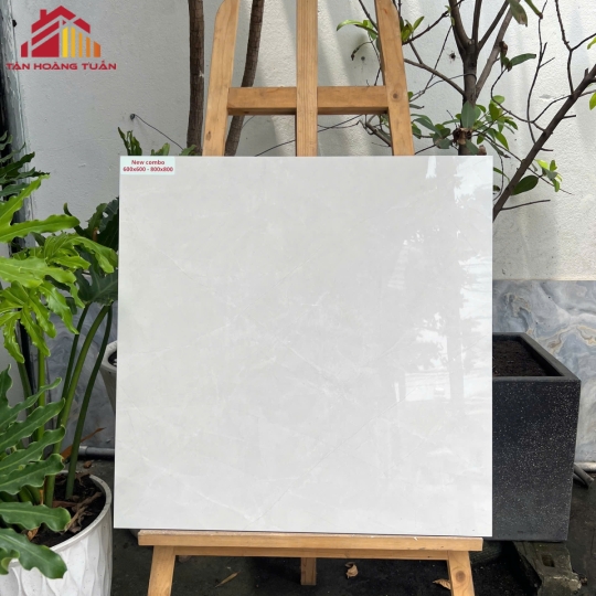Gạch lát nền bóng kính 03 | 60x60 