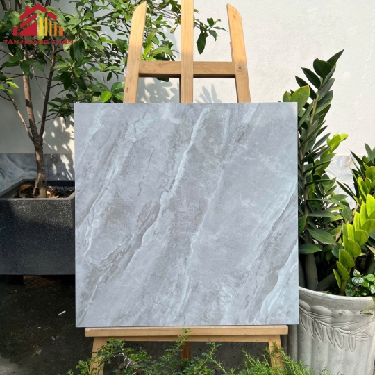Gạch lát nền bóng kính 05 | 60x60 