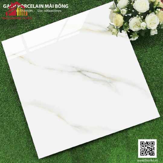 Gạch lát nền bóng kính 13 | 60x60 