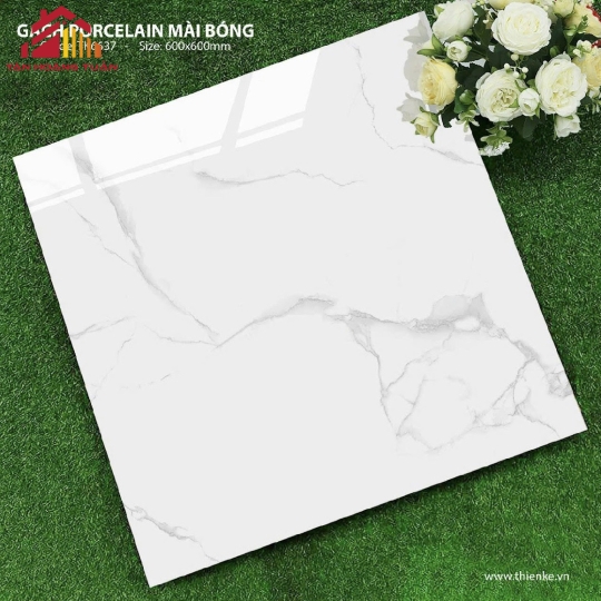 Gạch lát nền bóng kính 20 | 60x60 