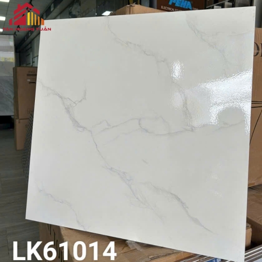 Gạch lát nền men 02 | 60x60 