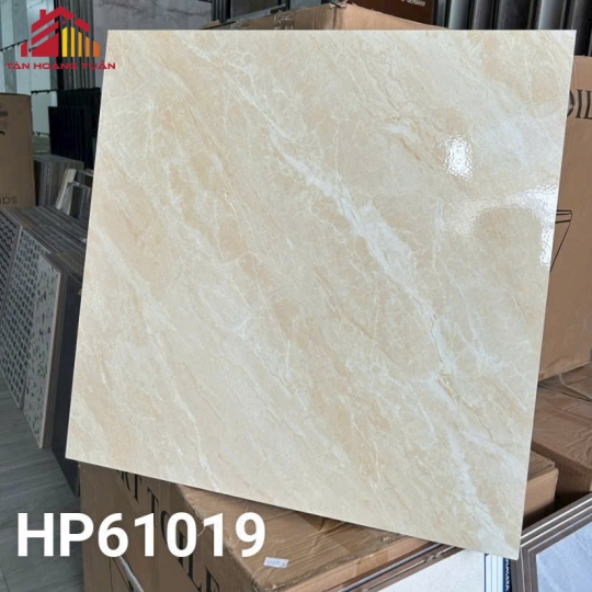 Gạch lát nền men 03 | 60x60 