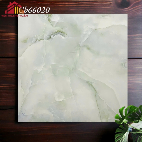 Gạch lát nền men 08 | 60x60 