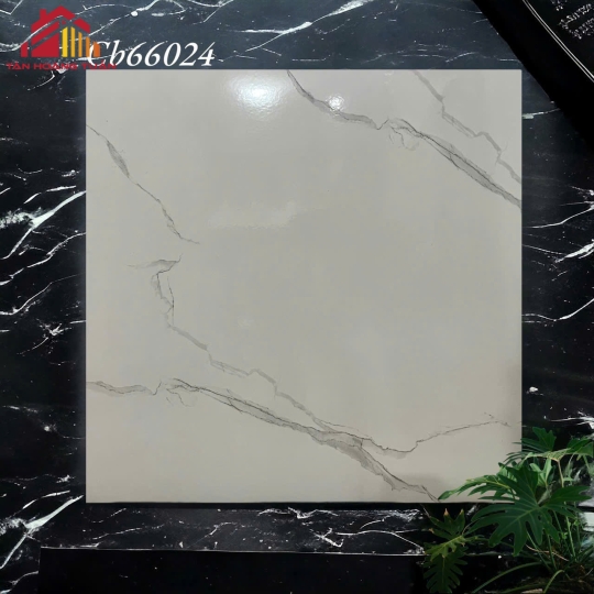 Gạch lát nền men 16 | 60x60 